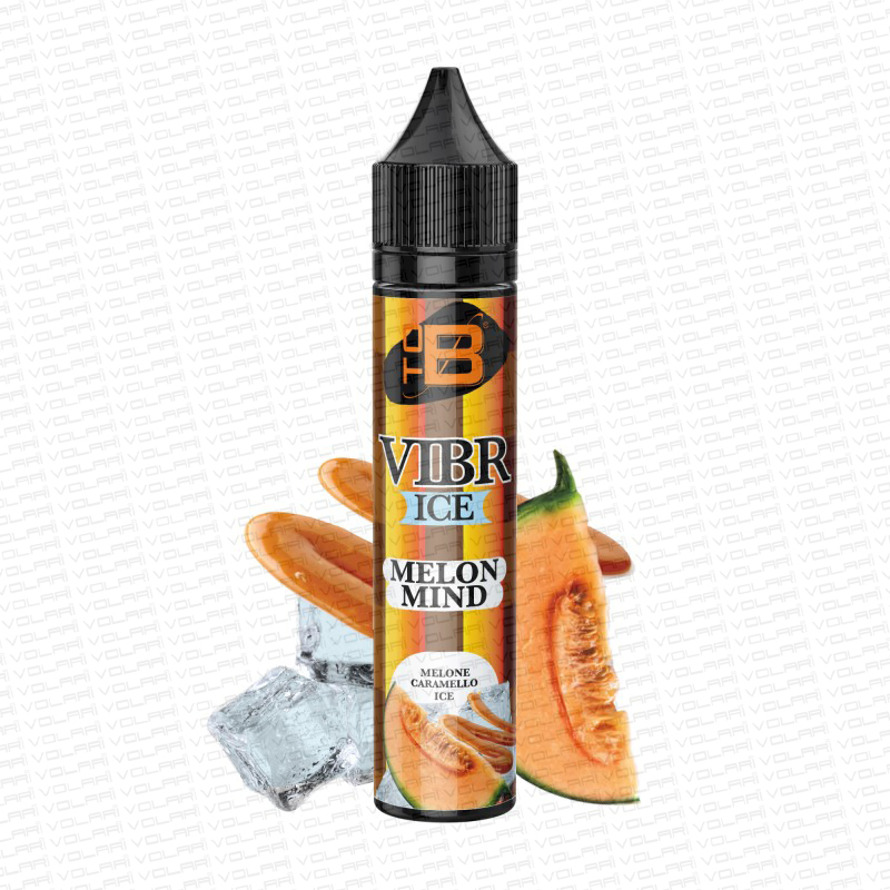 Aroma ToB Vibr Melon Mind 10+10