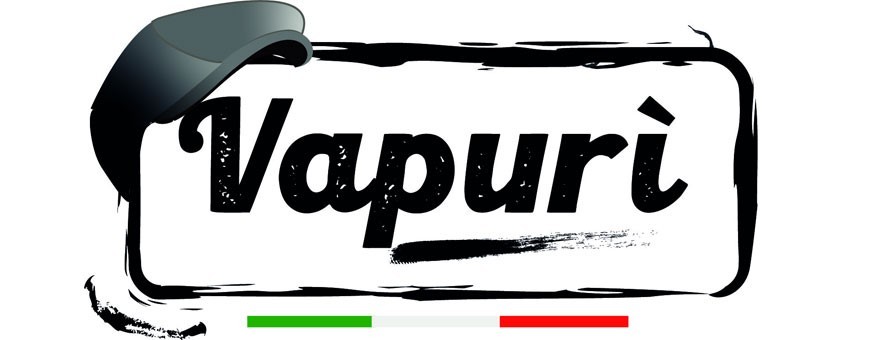 logo vapurì