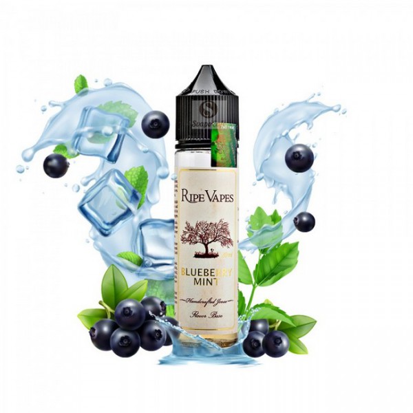 Aroma Ripe Vapes Blueberry Mint 20ml