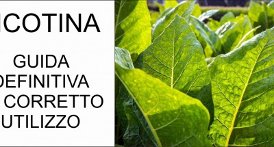 Nicotina: Cos'è e Guida all'utilizzo