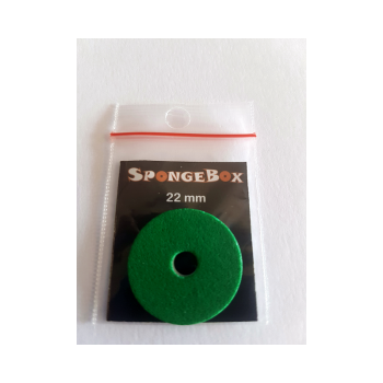Anello SpongeBox 22mm Verde Volari.it