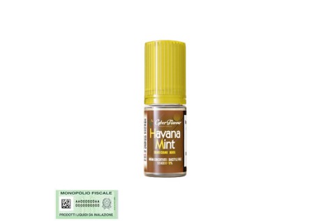 Aroma Cyber Flavour Havana Mint 10ml Volari.it