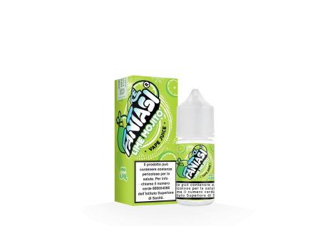 Aroma Fantasi Lime Mojito Ice 10+10 Mini Shot Volari.it