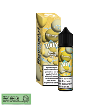 Aroma Flavourart Maly 20ml Shot  Volari.it