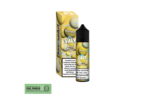 Aroma Flavourart Maly 20ml Shot  Volari.it
