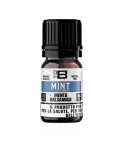 Aroma ToB Mint 10ml 3.0 Volari.it